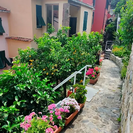 Fiorella Riomaggiore