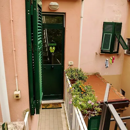 Fiorella