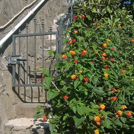 Fiorella Riomaggiore