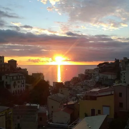 Fiorella
