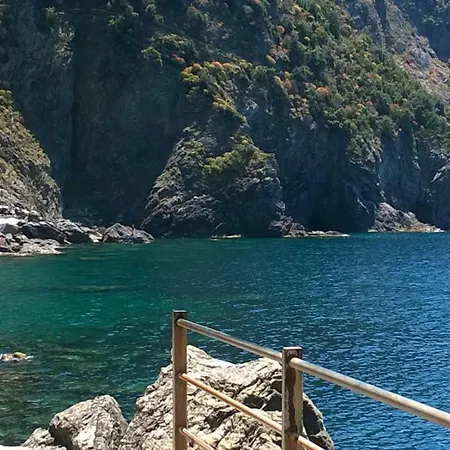 Fiorella Guest house